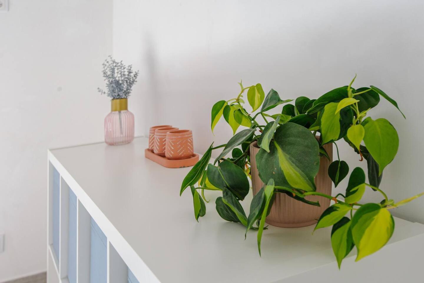 Sintra Sweet Apartment III - Free Parking 外观 照片
